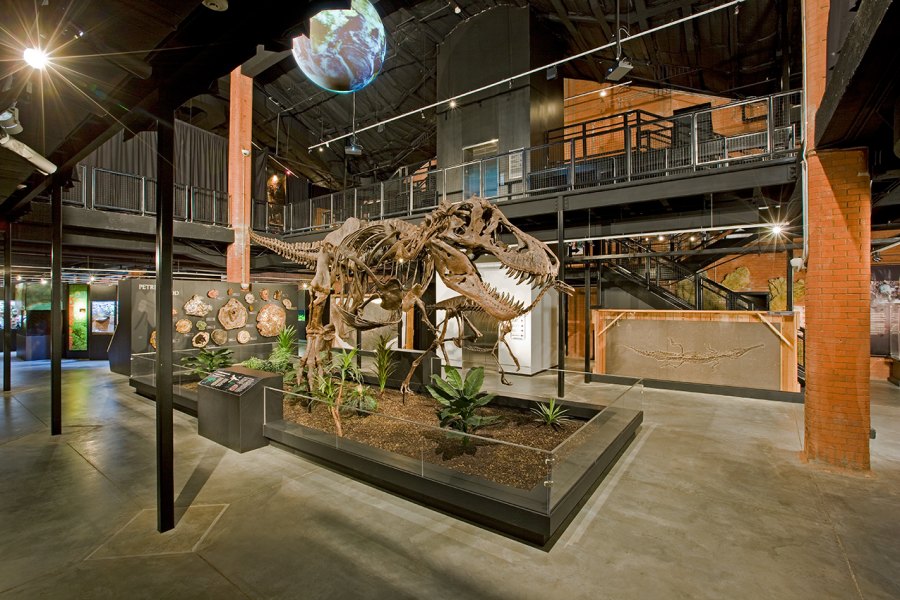 Houston Museum of Natural Science at Sugar Land Photos – A Journey Through Time and Nature